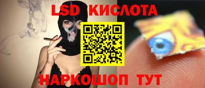 прущие грибы Нягань