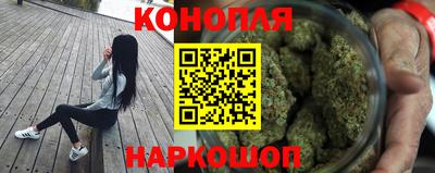 прущие грибы Нягань
